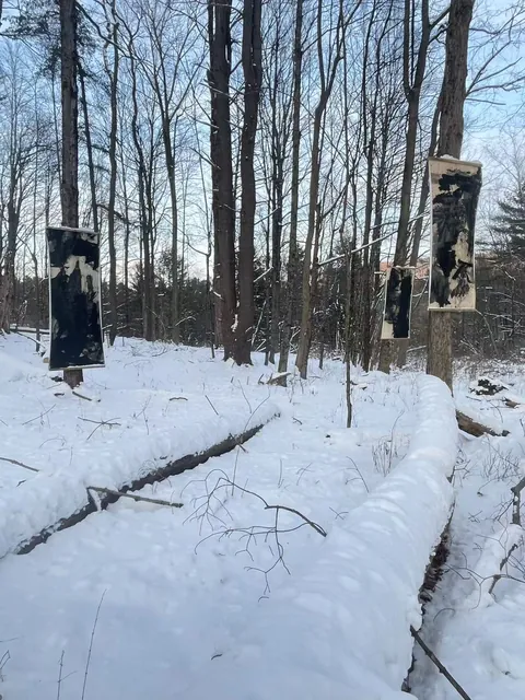三幅水墨卷轴悬挂在积雪树林中的现场照片